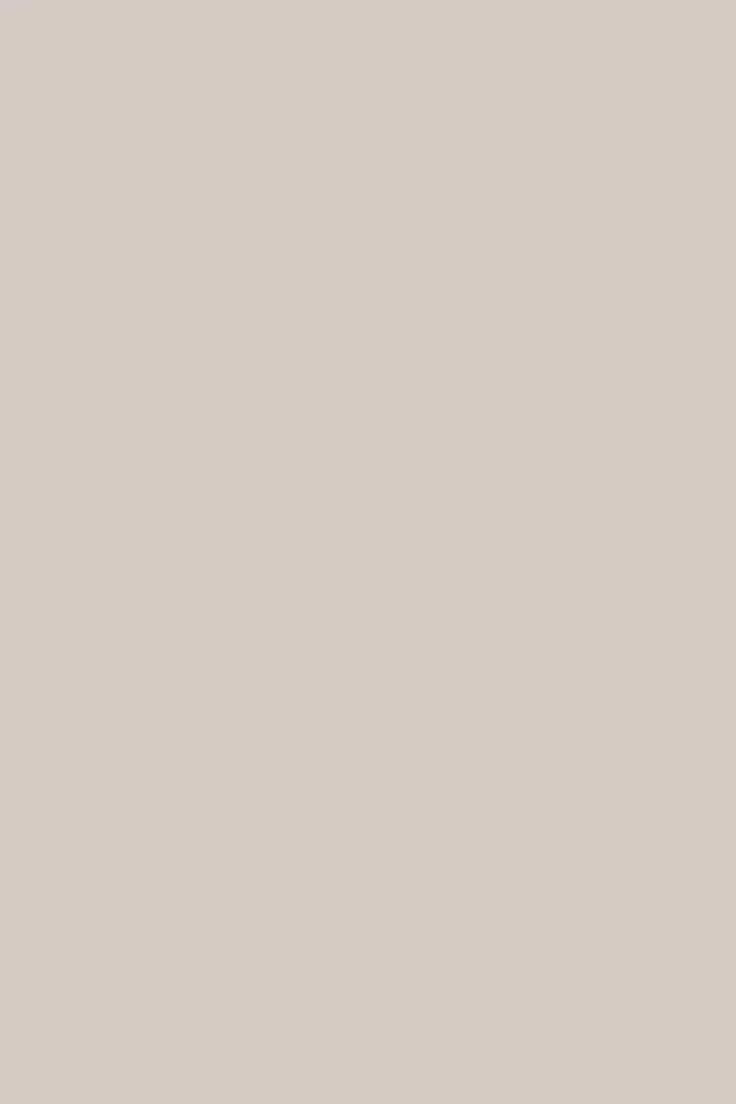 Premium Jersey - Sand Beige